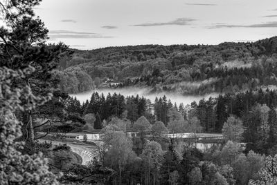 Scenic view in black and white of fog in the valley