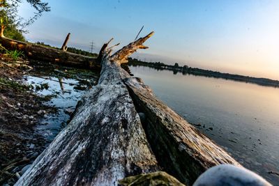 Driftwood by lake against sky during sunset