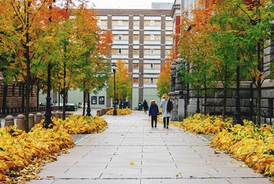 People walking on footpath during autumn