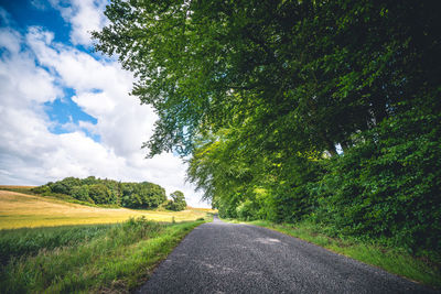 Road amidst trees against sky