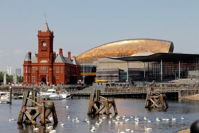 High angle view of swans on sea in city against sky