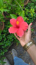 Low section of woman holding flower