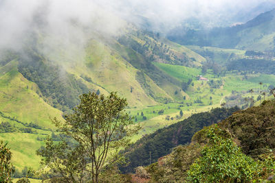 Scenic view of tree mountains against sky