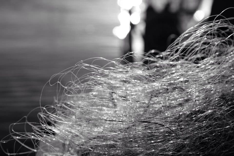 focus on foreground, cold temperature, close-up, winter, frozen, snow, weather, season, selective focus, nature, outdoors, ice, plant, water, no people, spider web, drop, day, wet, dry