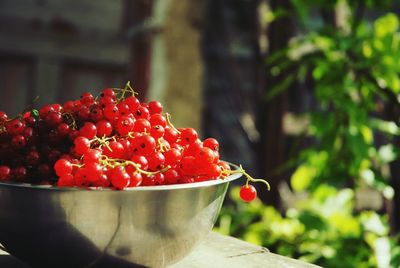 Red currants in container on table