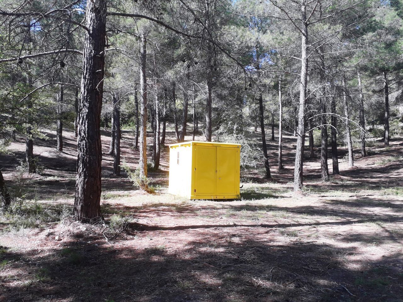 INFORMATION SIGN ON TREE TRUNKS