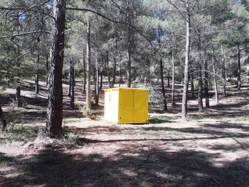 Information sign on tree trunk in forest