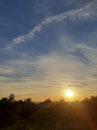 Silhouette trees against sky during sunset