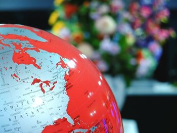 Close-up of red rose