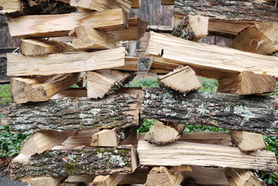Stack of logs