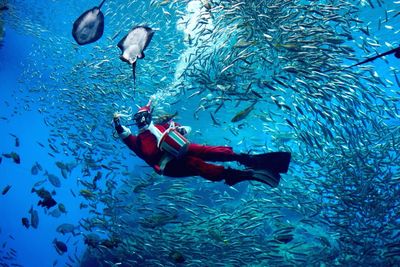Man in santa claus costume swimming with school of fish underwater