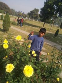 Rear view of people on yellow flowering plants