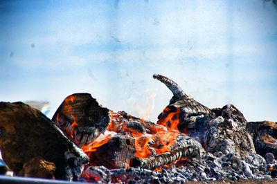 Close-up of burning animal against sky