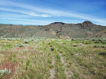 Scenic view of field against sky