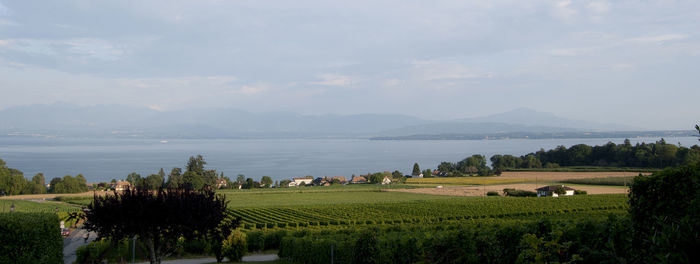 Scenic view of landscape against sky