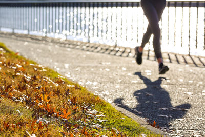 Low section of person walking on road