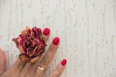 Cropped woman holding dry rose against wall