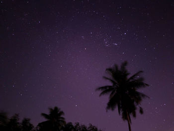 Low angle view of silhouette trees against sky at night