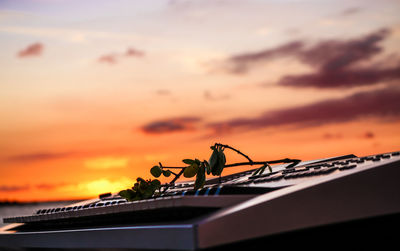 Low angle view of silhouette roof against sky during sunset