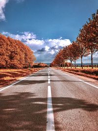 Surface level of road along trees