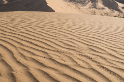 Shapes, patern and lines at great sand dune in vallee blanche at sahara desert in mauritania