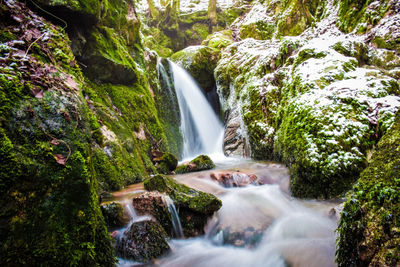 View of waterfall in forest