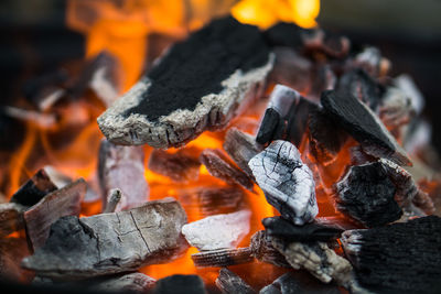 Close-up of burning firewood