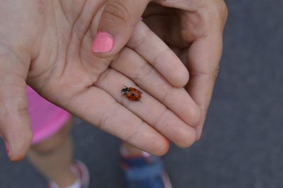 Low section of girl showing ladybug on finger