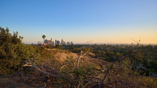 Scenic view of field against clear sky during sunset