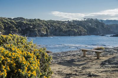 Scenic view of sea against sky