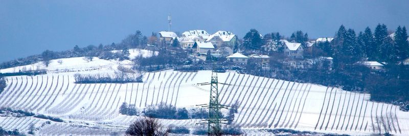 Panoramic view of trees and buildings against sky