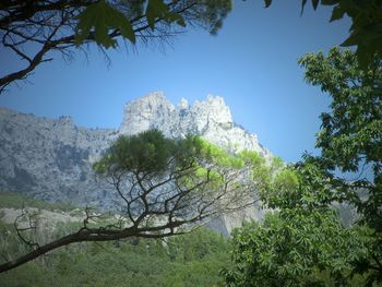 Scenic view of mountains