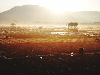 Scenic view of field against sky during sunset