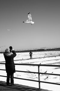 Full length of man photographing seagull on beach against clear sky