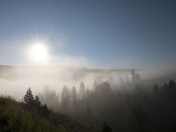 Scenic view of landscape against sky