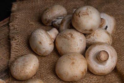 High angle view of mushrooms