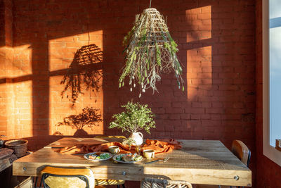 Potted plant on table at home