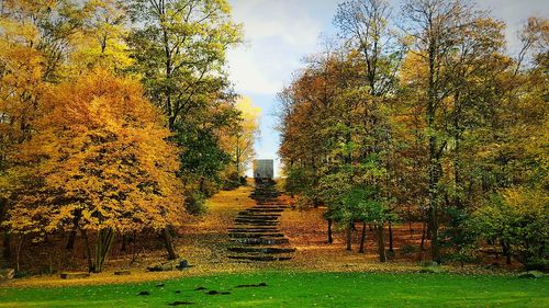 Footpath amidst trees in park