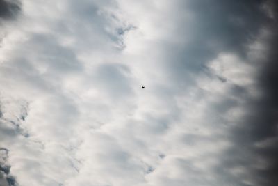 Low angle view of bird flying in sky