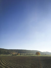 Scenic view of agricultural field against clear blue sky