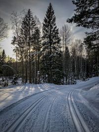 Road amidst trees against sky during winter