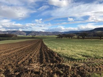 Scenic view of agricultural field against sky