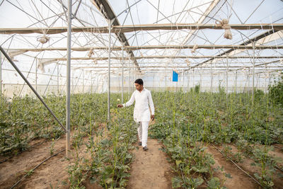 Man standing in greenhouse