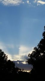 Low angle view of silhouette trees against sky