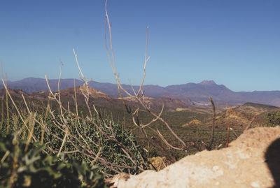 Scenic view of field against clear blue sky