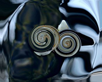 Full frame shot of shells