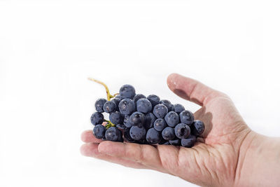 Close-up of hand holding fruit against white background