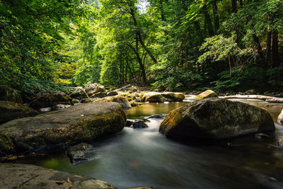 Stream flowing through rocks in forest