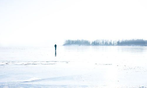 Rear view of man standing in sea against clear sky