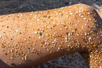 The skin on the leg of a young girl or young man sunbathing on a sea beach in pieces of seashells